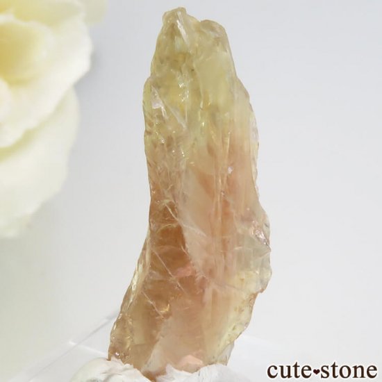 쥴󥵥󥹥ȡθ 2gμ̿1 cute stone