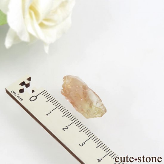 쥴󥵥󥹥ȡθ 2gμ̿2 cute stone