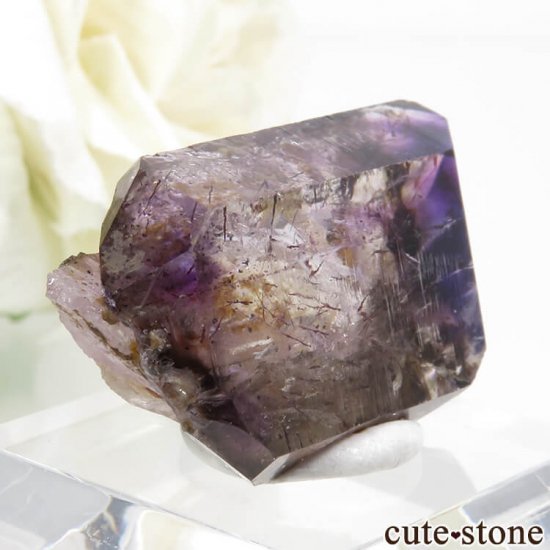 Х֥ ᥸Ȥη뾽() 7.2gμ̿0 cute stone
