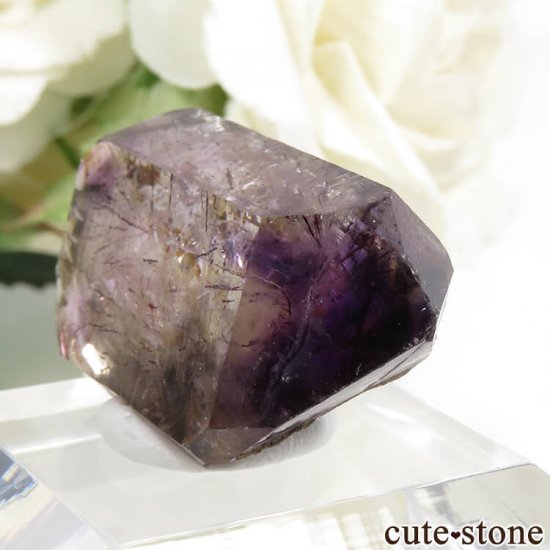 Х֥ ᥸Ȥη뾽() 7.2gμ̿2 cute stone