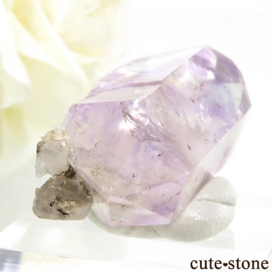 Х֥ ᥸Ȥη뾽() 6.9gμ̿2 cute stone