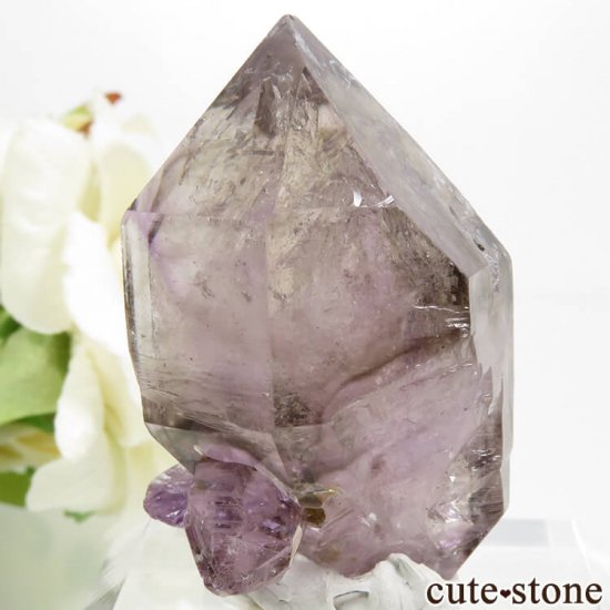 Х֥ ᥸ȡ⡼Ĥη뾽() 29.2gμ̿0 cute stone