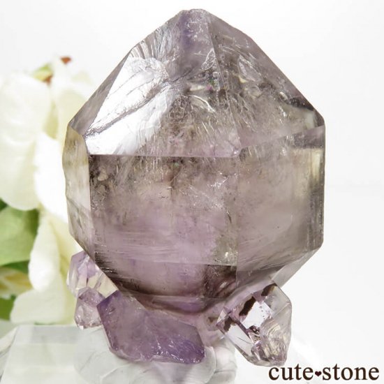 Х֥ ᥸ȡ⡼Ĥη뾽() 29.2gμ̿2 cute stone