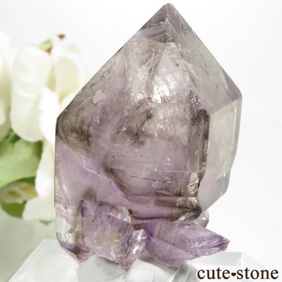 Х֥ ᥸ȡ⡼Ĥη뾽() 29.2gμ̿3 cute stone