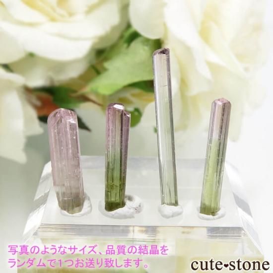アフガニスタン Paprok産 バイカラートルマリンの結晶 Mサイズ