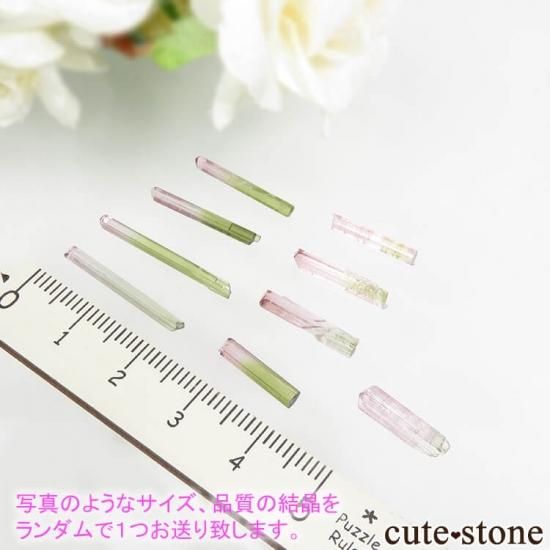 宝石質！ アフガニスタンpaprok産 極薄バイカラートルマリン原石 アフガニスタン Paprok産 バイカラートルマリンの結晶 Mサイズ