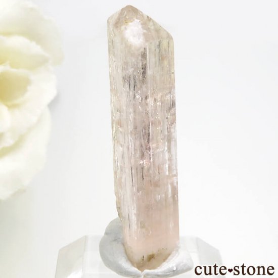 ѥ åȥ ԥ󥯥ȥѡ (ڥꥢȥѡ)η뾽 () 3gμ̿0 cute stone