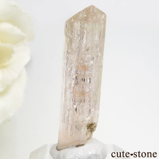 ѥ åȥ ԥ󥯥ȥѡ (ڥꥢȥѡ)η뾽 () 3gμ̿3 cute stone