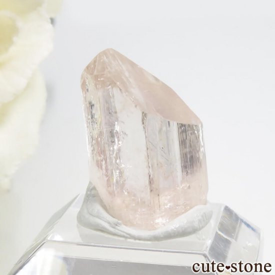 ѥ åȥ ԥ󥯥ȥѡ (ڥꥢȥѡ)η뾽 () 2.1gμ̿0 cute stone
