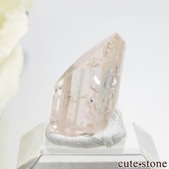 ѥ åȥ ԥ󥯥ȥѡ (ڥꥢȥѡ)η뾽 () 2.1gμ̿2 cute stone
