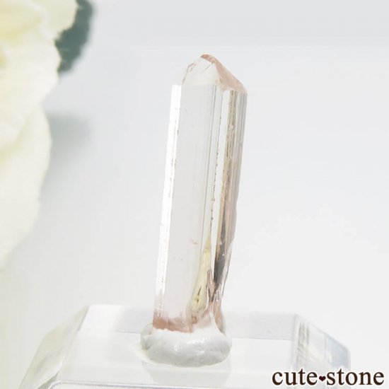 ѥ åȥ ԥ󥯥ȥѡ (ڥꥢȥѡ)η뾽 () 0.6gμ̿0 cute stone