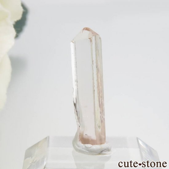 ѥ åȥ ԥ󥯥ȥѡ (ڥꥢȥѡ)η뾽 () 0.6gμ̿2 cute stone