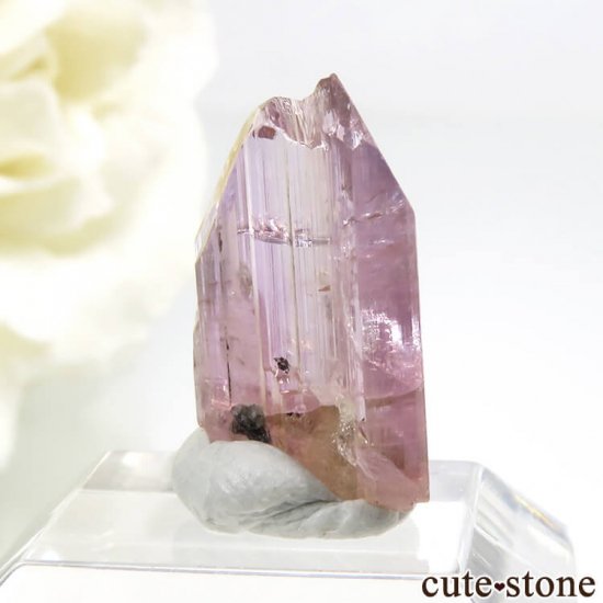 ˻ ԥ󥯡󥸥ȡʥԥ󥯡󥸥󥶥ʥȡˤη뾽ʸС4.5ctμ̿0 cute stone