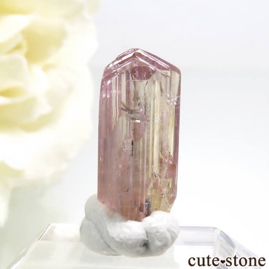 ˻ ԥ󥯡󥸥ȡʥԥ󥯡󥸥󥶥ʥȡˤη뾽ʸС4.5ctμ̿1 cute stone