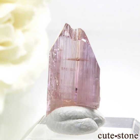 ˻ ԥ󥯡󥸥ȡʥԥ󥯡󥸥󥶥ʥȡˤη뾽ʸС4.5ctμ̿2 cute stone