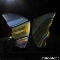 ɥͥ ꥹȤĳʥꥹ Хե饤 No.7β