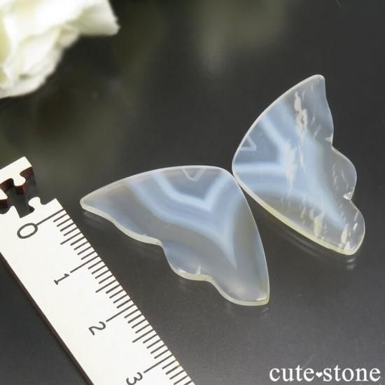 ɥͥ ꥹȤĳʥꥹ Хե饤 No.13μ̿2 cute stone