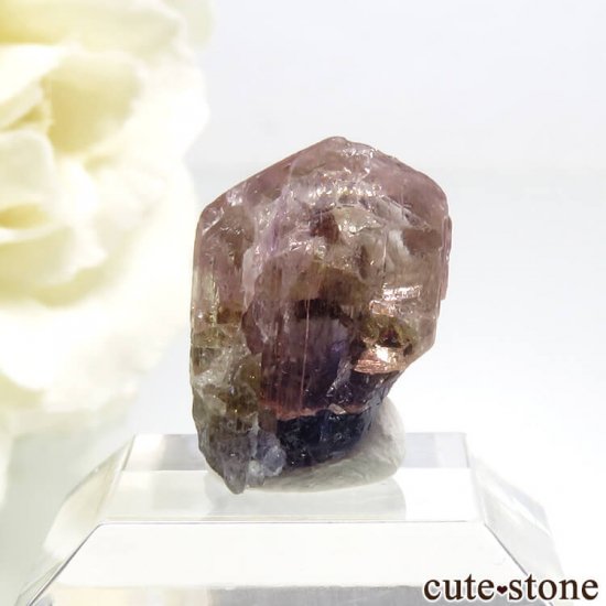 ˻ ԥ󥯡֥롼ȡʥ󥶥ʥȡˤη뾽ʸС7.8ctμ̿1 cute stone