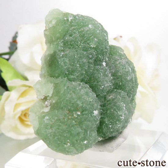  ʻ꡼ե饤Ȥθ 38.2gμ̿0 cute stone