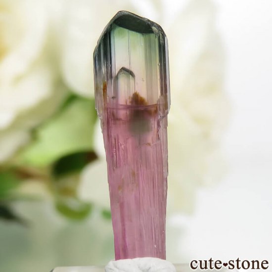 ޥ뻺 Ի׵ĤʷΥȥޥη뾽 0.4gμ̿1 cute stone