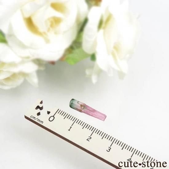 ޥ뻺 Ի׵ĤʷΥȥޥη뾽 0.4gμ̿3 cute stone