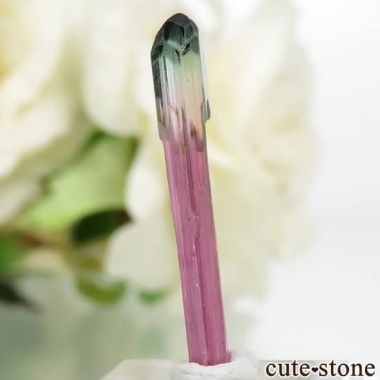 ޥ뻺 Ի׵ĤʷΥȥޥη뾽 0.3gμ̿0 cute stone