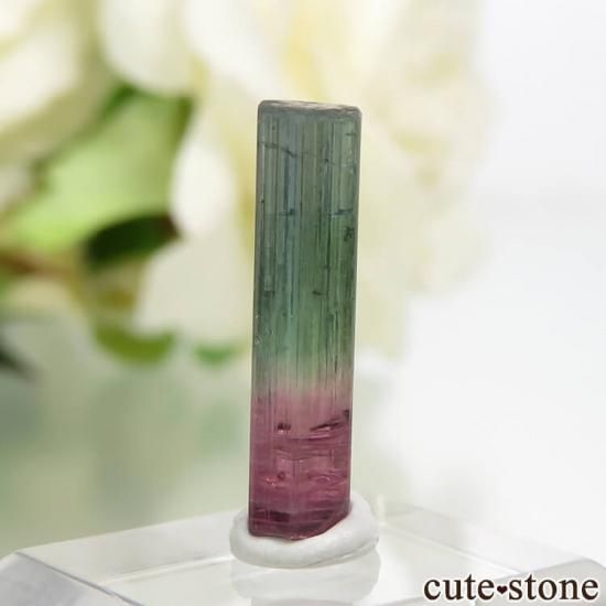 ޥ뻺 Х顼ȥޥη뾽 0.4gμ̿1 cute stone