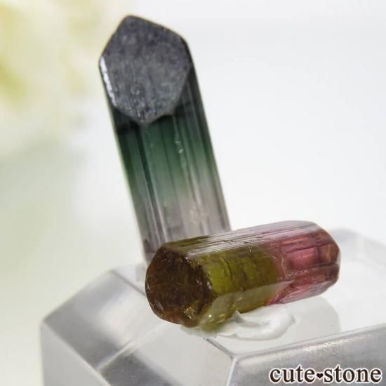 マダガスカル産 バイカラートルマリンの結晶 セット No.6の写真1 cute stone