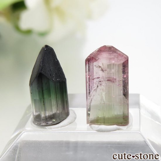 マダガスカル産 バイカラートルマリンの結晶 セット No.7 - cute stone -