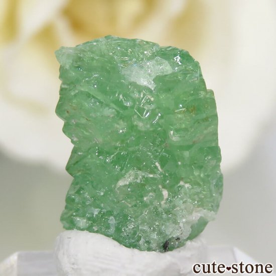 󥶥˥ ĥܥ饤Ȥη뾽ʸС 7.5ctμ̿1 cute stone