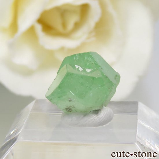 󥶥˥ ĥܥ饤Ȥη뾽ʸС 5.3ctμ̿0 cute stone