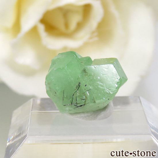 󥶥˥ ĥܥ饤Ȥη뾽ʸС 5.3ctμ̿1 cute stone