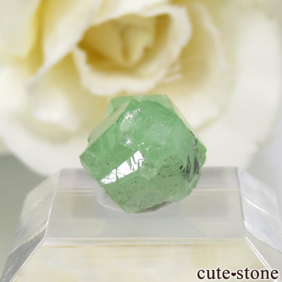 󥶥˥ ĥܥ饤Ȥη뾽ʸС 5.3ctμ̿2 cute stone