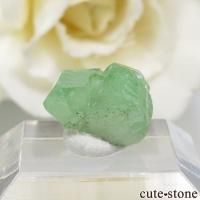 󥶥˥ ĥܥ饤Ȥη뾽ʸС 5.3ctβ