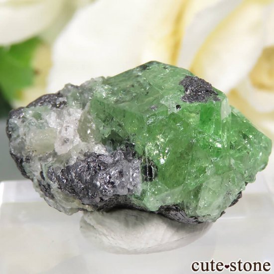 󥶥˥ ĥܥ饤Ȥη뾽ʸС 23.4ctμ̿0 cute stone