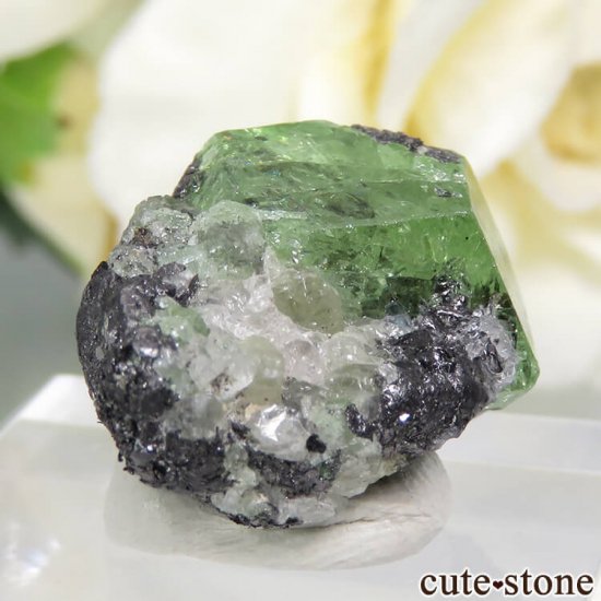 󥶥˥ ĥܥ饤Ȥη뾽ʸС 23.4ctμ̿1 cute stone