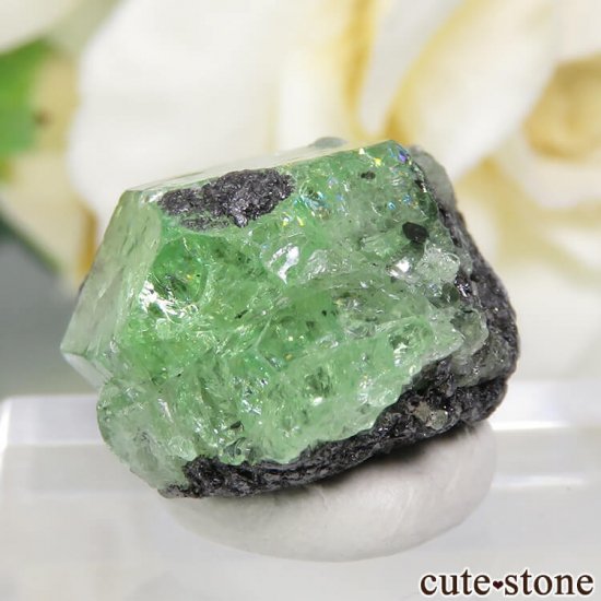 󥶥˥ ĥܥ饤Ȥη뾽ʸС 23.4ctμ̿2 cute stone