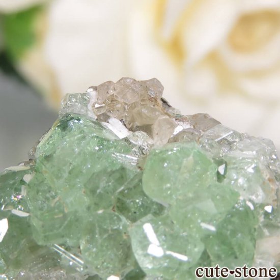 󥶥˥ ĥܥ饤ȡץȤդ뾽ʸС 32.5ctμ̿0 cute stone