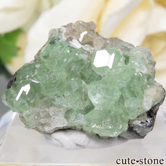 󥶥˥ ĥܥ饤ȡץȤդ뾽ʸС 32.5ctμ̿1 cute stone