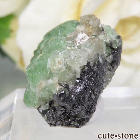 󥶥˥ ĥܥ饤ȡץȤդ뾽ʸС 32.5ctμ̿4 cute stone