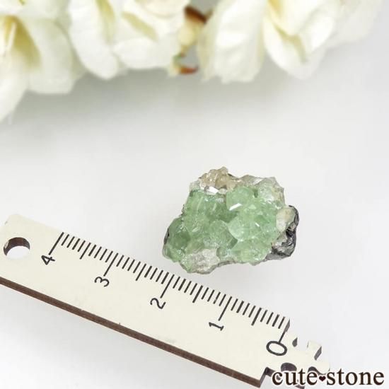 󥶥˥ ĥܥ饤ȡץȤդ뾽ʸС 32.5ctμ̿5 cute stone
