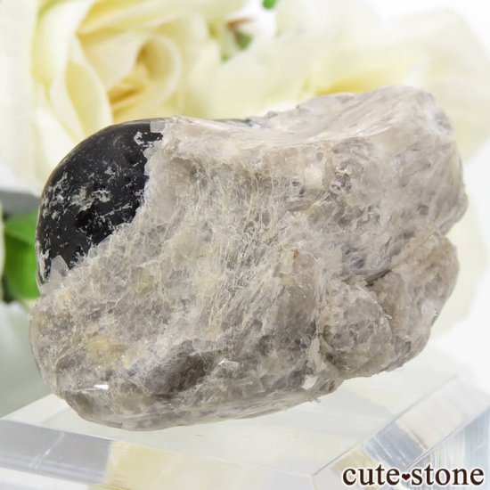 ꥾ʽ ֥ǥʥѥåƥѥåޡ23.6gμ̿0 cute stone