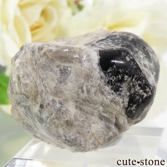 ꥾ʽ ֥ǥʥѥåƥѥåޡ23.6gμ̿1 cute stone