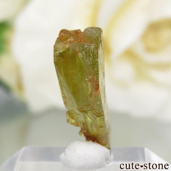 ޥ뻺 о꥽٥η뾽ʸС 0.8gμ̿0 cute stone