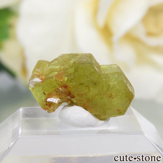 ޥ뻺 о꥽٥η뾽ʸС 0.7gμ̿1 cute stone