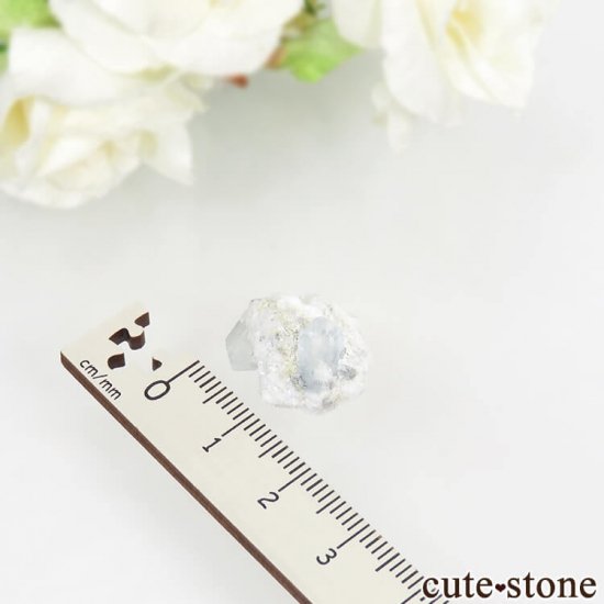 ʥߥӥ 󥴻 ֥롼ȥѡη뾽ʸС3.4gμ̿5 cute stone