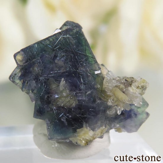  󥴥뻺 ˾뾽ե饤ȡ 6.3gμ̿0 cute stone