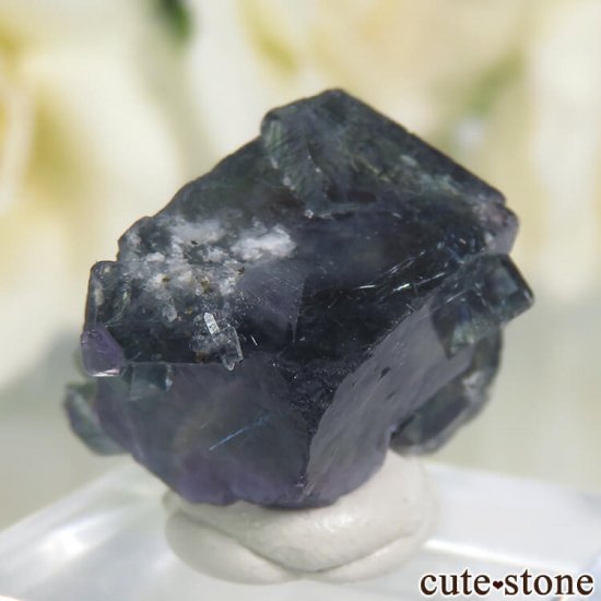  󥴥뻺 ˾뾽ե饤ȡ 6.3gμ̿1 cute stone