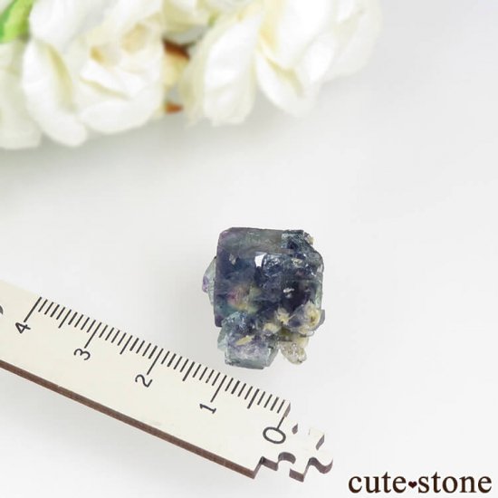  󥴥뻺 ˾뾽ե饤ȡ 6.3gμ̿2 cute stone