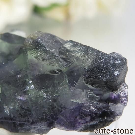  󥴥뻺 ˾뾽ե饤 13.3gμ̿1 cute stone